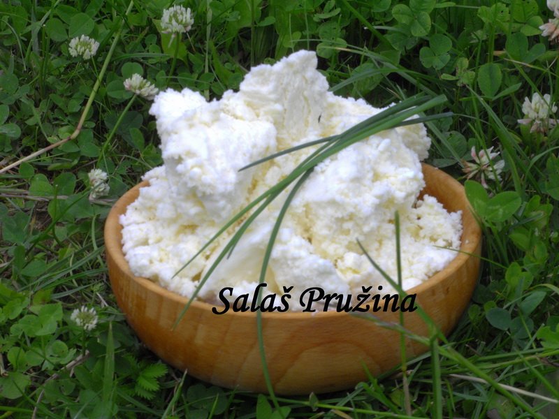 Farma Pružina Salaš Bryndza