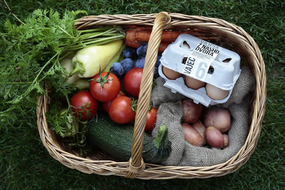 Rodinná Farma Šataník pestujeme Ovocie a Zeleninu, chováme sliepky na vajíčka