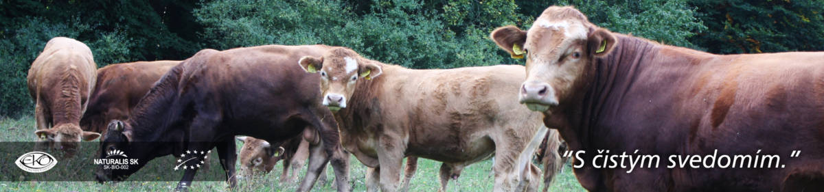 Farma Turová chov hovädzieho dobytka, ekologický bitúnok, mäso v zaručenej kvalite BIO