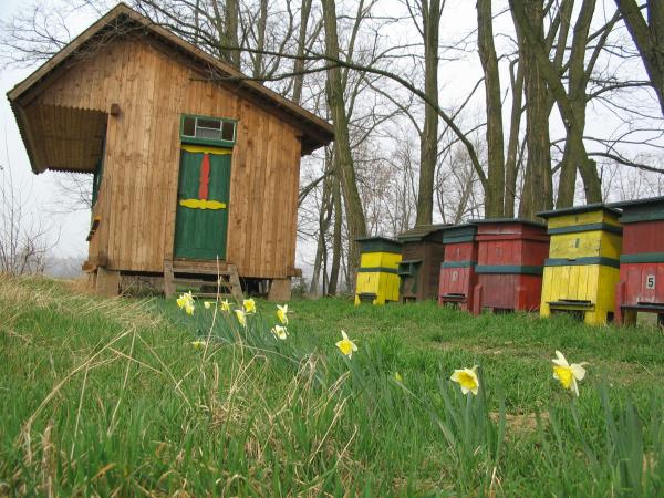 Včelia farma na Mašekovom mlyne, Repkový med, Agátový med, Slnečnicový med