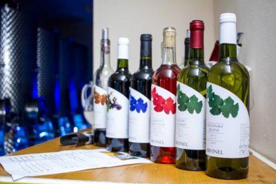 Bovinel neveľké vinárstvo na úpätí Malých Karpát, tradičná receptúra