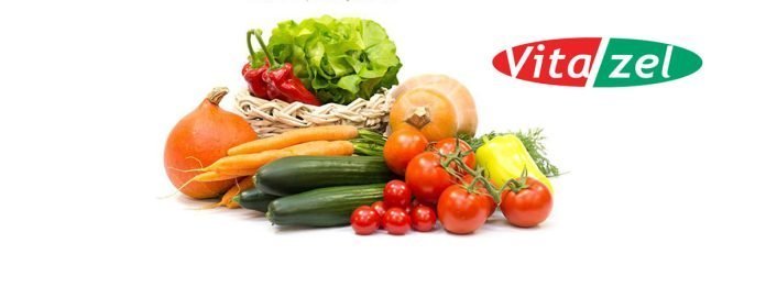 Vitazel - producent zeleniny, certifikát GLOBALGAP, člen OVOZELA