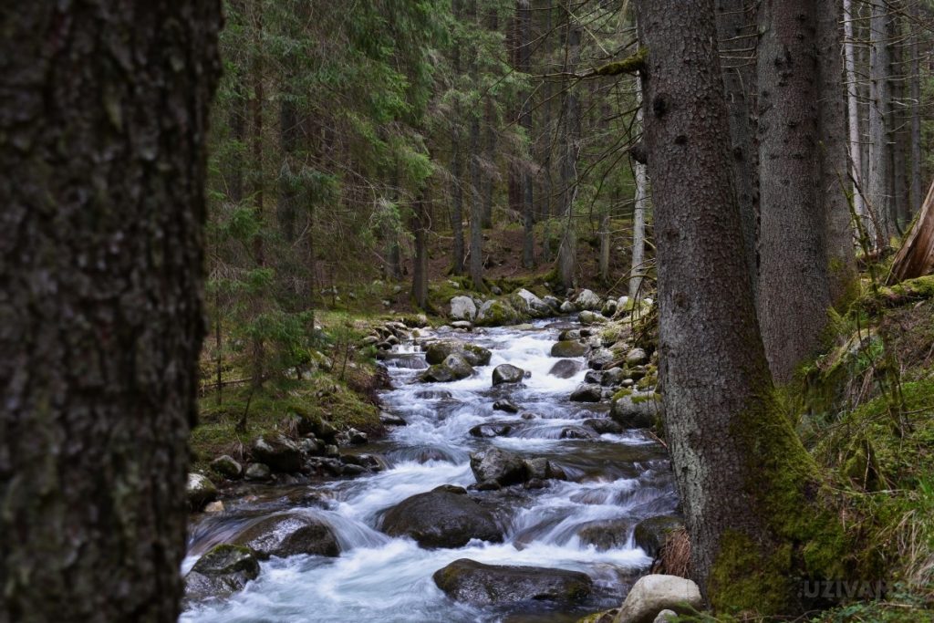 Hotel Tri Studničky **** - oáza pokoja v Demänovskej doline