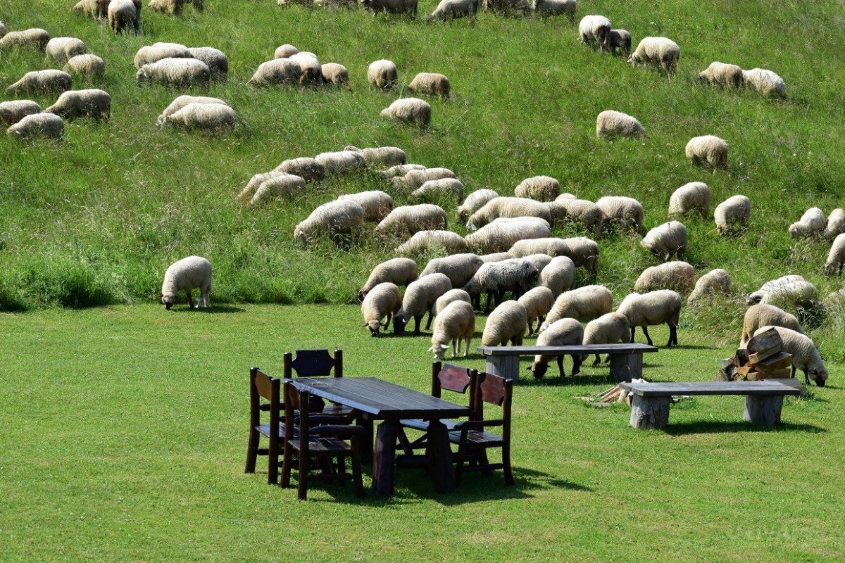 Horský Hotel Encián ***