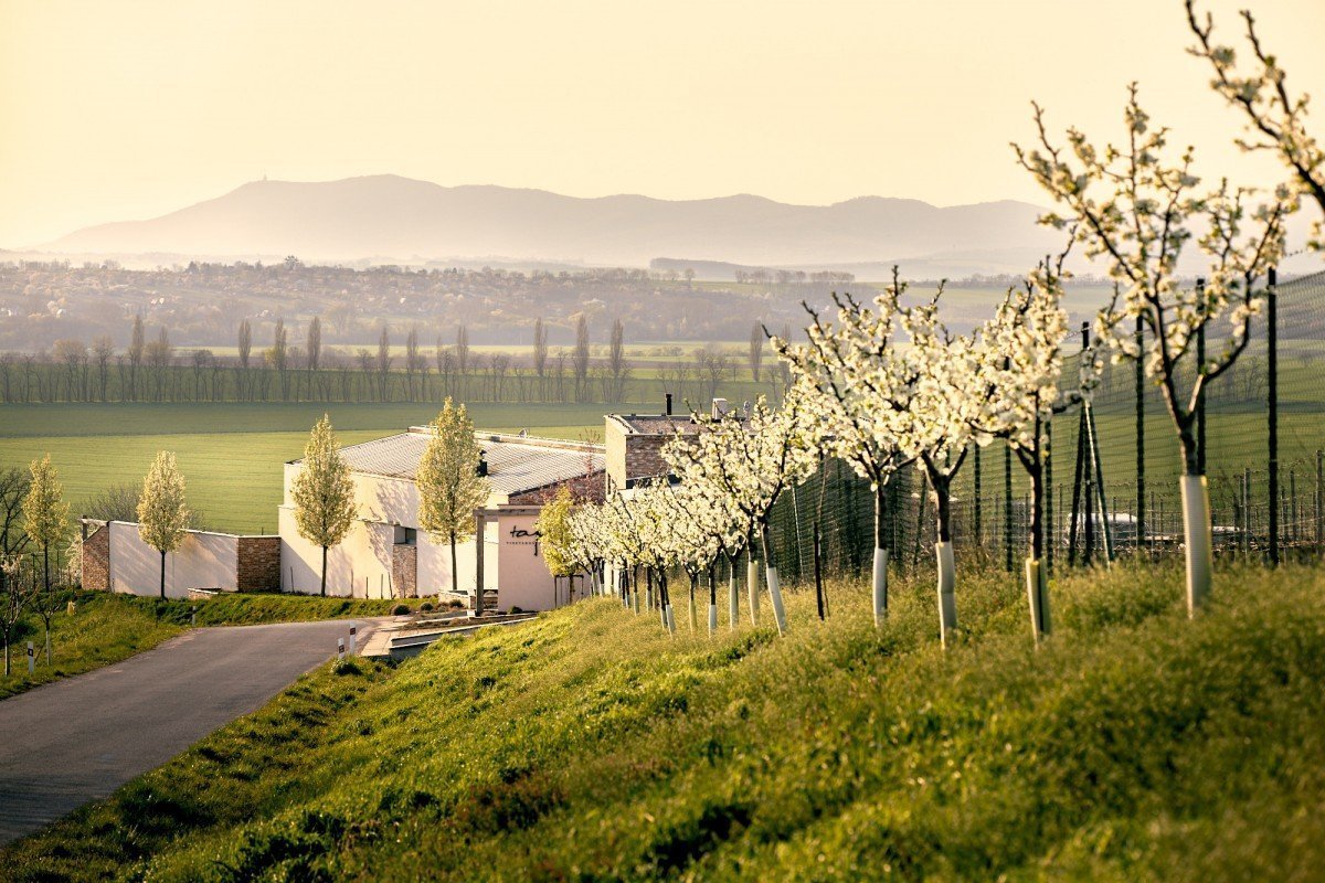 TAJNA Vineyards & Winery