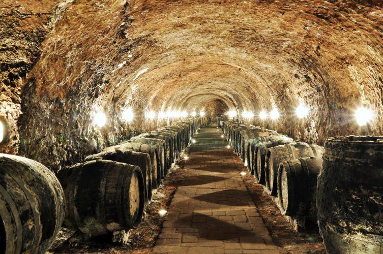 Tokajské vína Ostrožovič