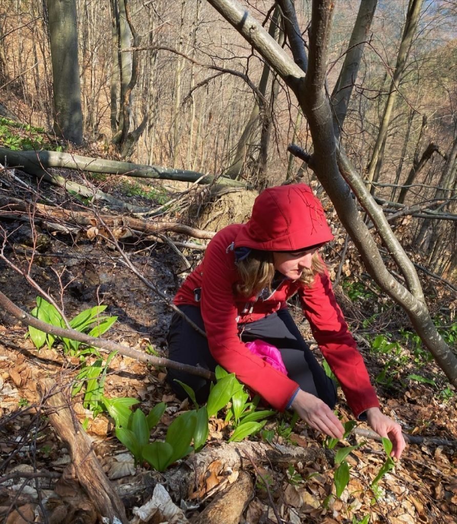 Lekváreň Lieky z lúky