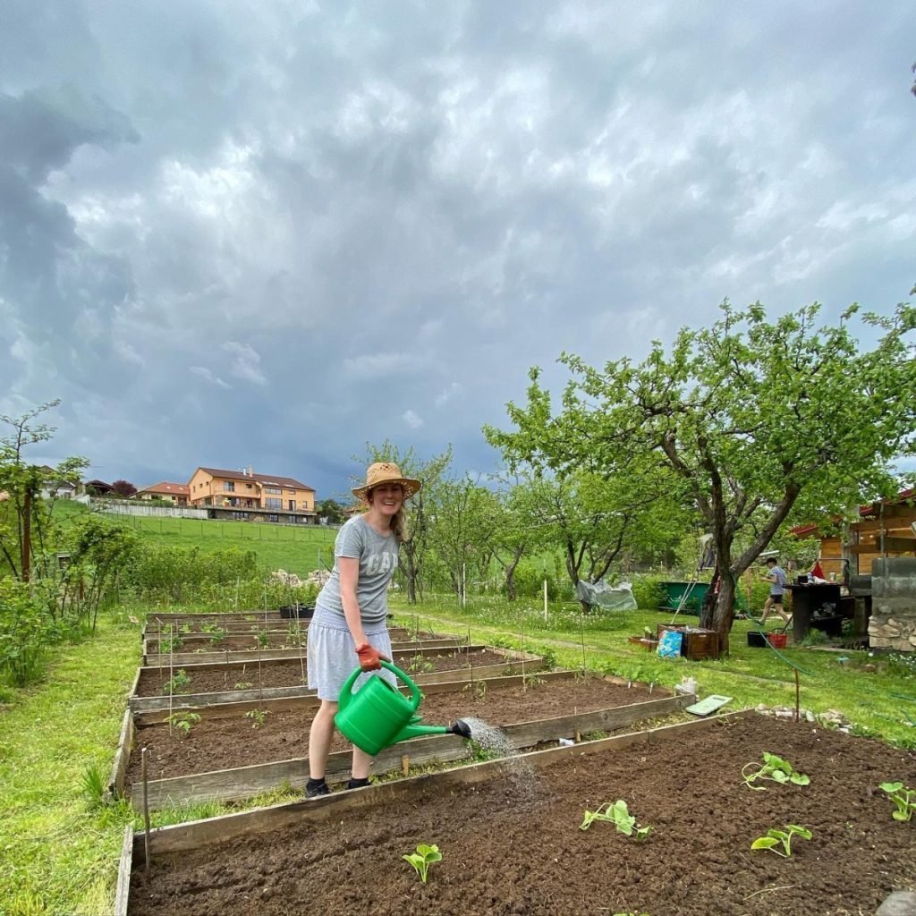 Lekváreň Lieky z lúky